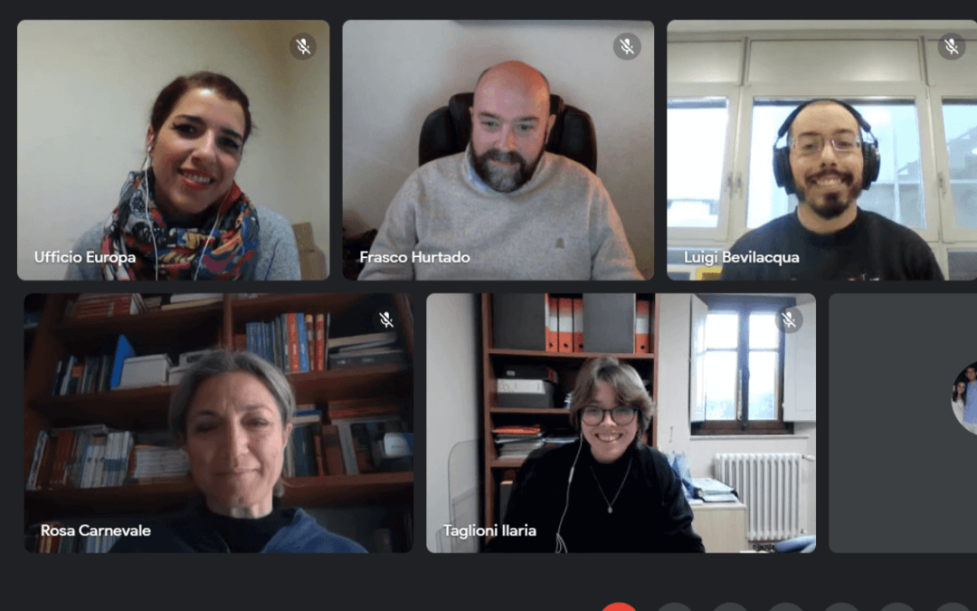 STIT Transnational project meeting 4, online